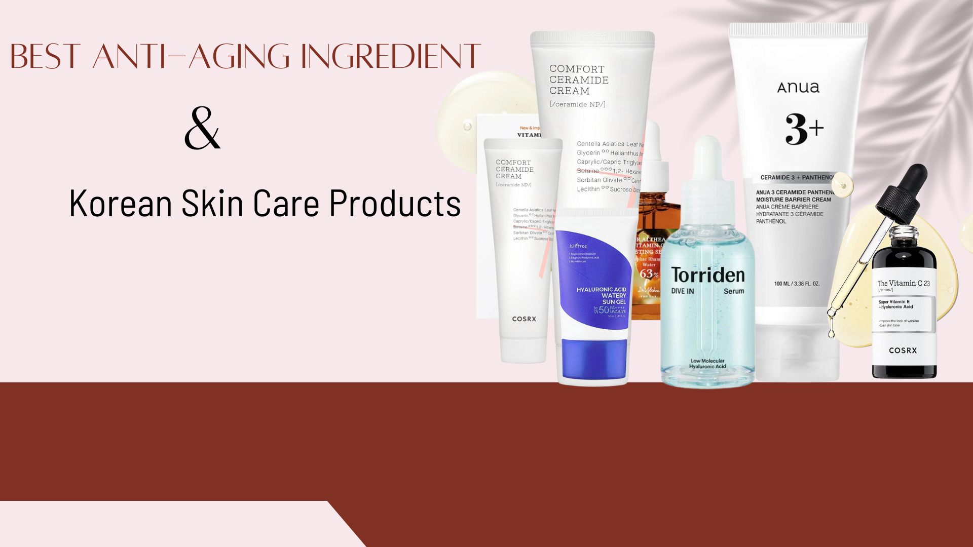 Best Anti-Aging Ingredient & Korean Skin Care Products
